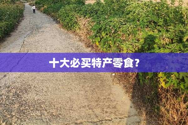 十大必买特产零食？