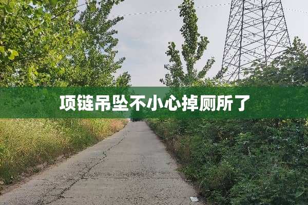 项链吊坠不小心掉厕所了