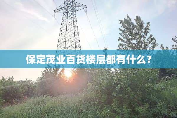 保定茂业百货楼层都有什么？