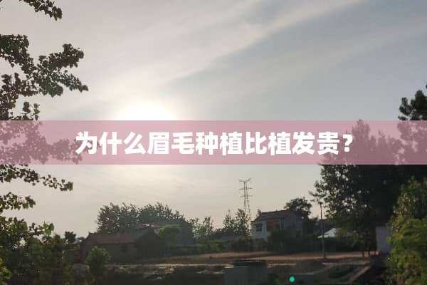 为什么眉毛种植比植发贵？