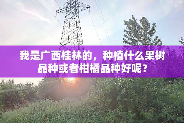 我是广西桂林的，种植什么果树品种或者柑橘品种好呢？