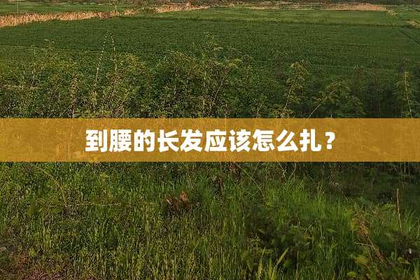 到腰的长发应该怎么扎？