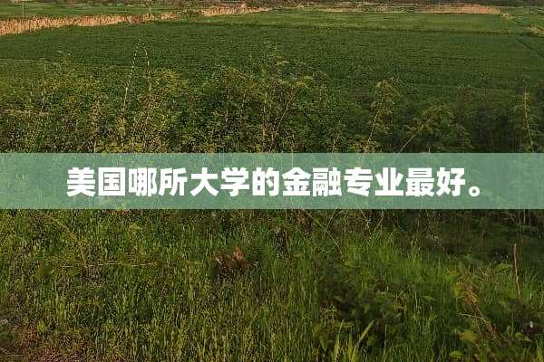 美国哪所大学的金融专业最好。