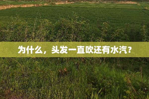 为什么，头发一直吹还有水汽？