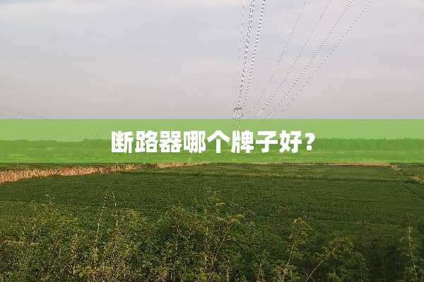 断路器哪个牌子好？
