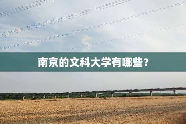 南京的文科大学有哪些？