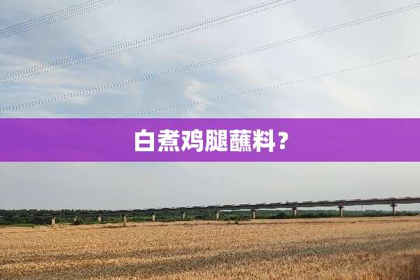 白煮鸡腿蘸料？