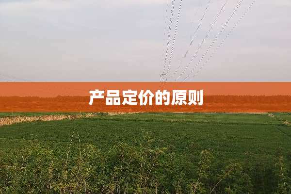 产品定价的原则
