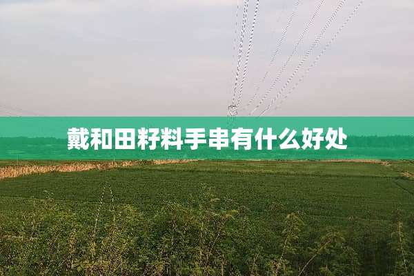 戴和田籽料手串有什么好处