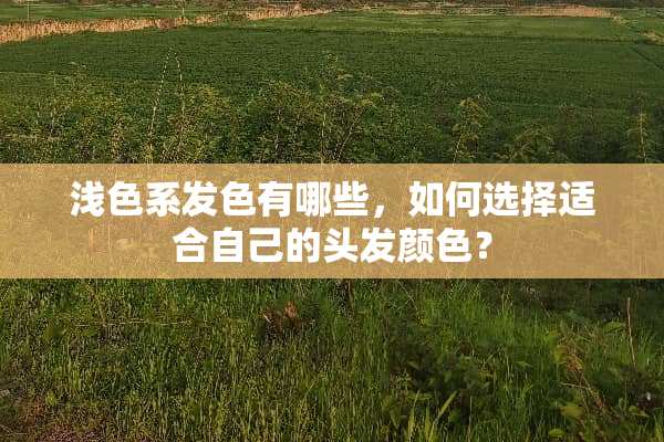 浅色系发色有哪些，如何选择适合自己的头发颜色？