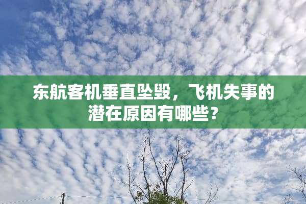 东航客机垂直坠毁，飞机失事的潜在原因有哪些？
