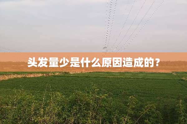 头发量少是什么原因造成的？
