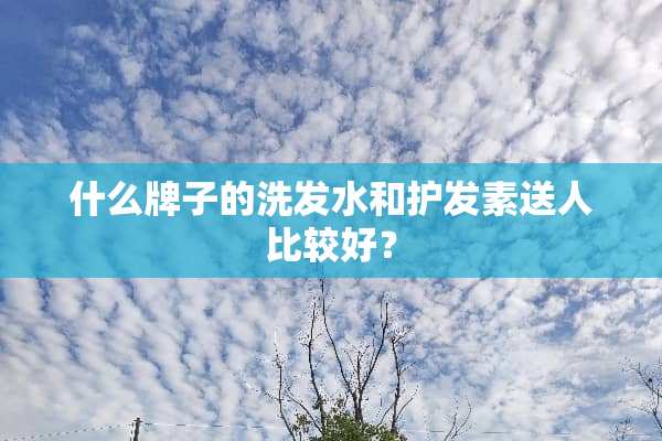 什么牌子的洗发水和护发素送人比较好？