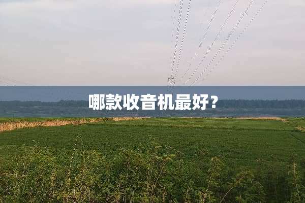 哪款收音机最好？