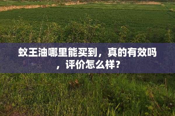 蚁王油哪里能买到，真的有效吗，评价怎么样？