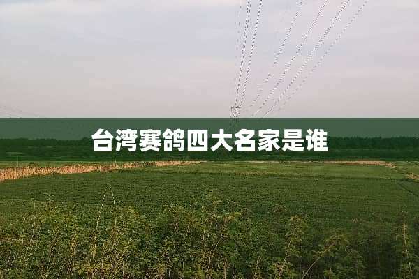 **赛鸽四大名家是谁