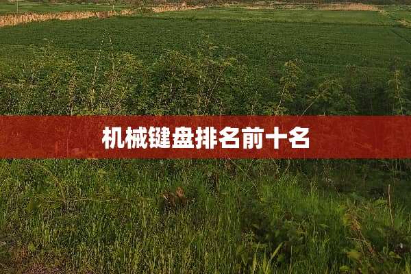 机械键盘排名前十名