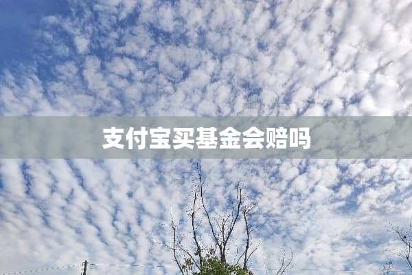 支付宝买基金会赔吗