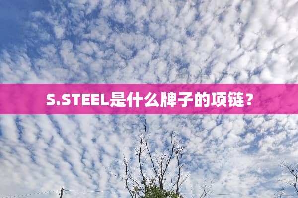 S.STEEL是什么牌子的项链？