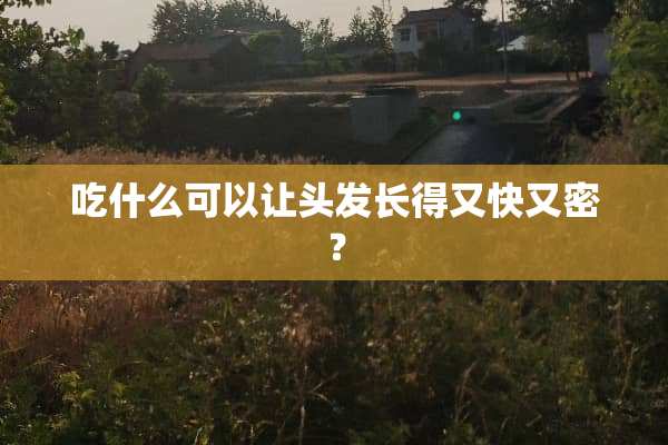 吃什么可以让头发长得又快又密？