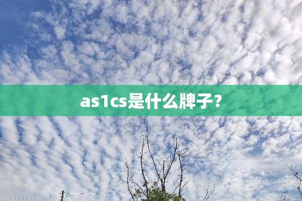 as1cs是什么牌子？