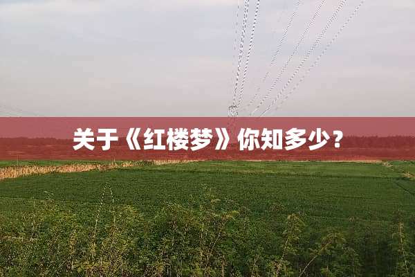 关于《红楼梦》你知多少？