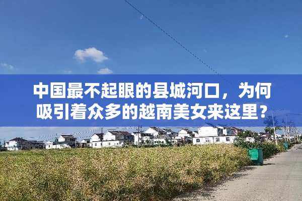 中国最不起眼的县城河口，为何吸引着众多的越南**来这里？