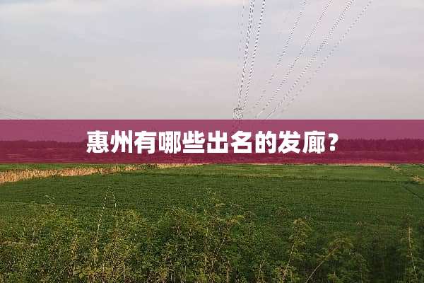 惠州有哪些出名的发廊？