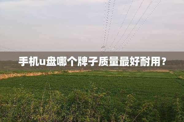 手机u盘哪个牌子质量最好耐用？