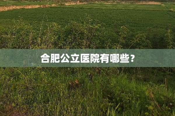 合肥公立医院有哪些？