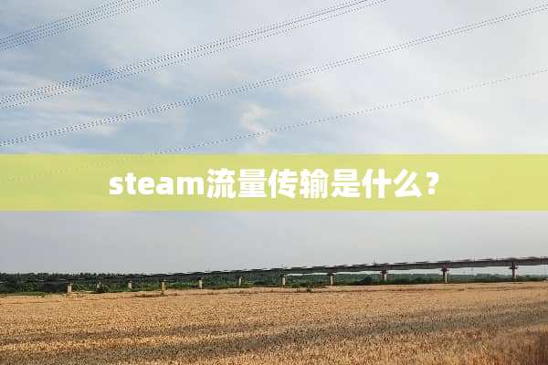 steam流量传输是什么？