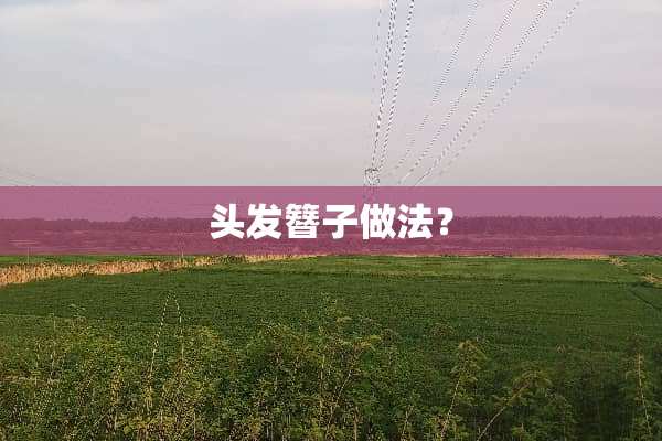 头发簪子做法？
