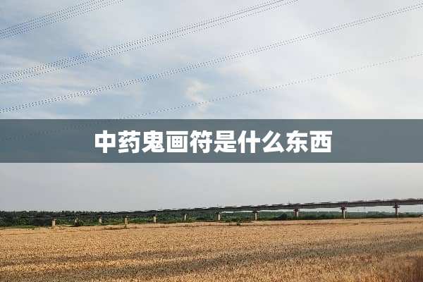 中药鬼画符是什么东西