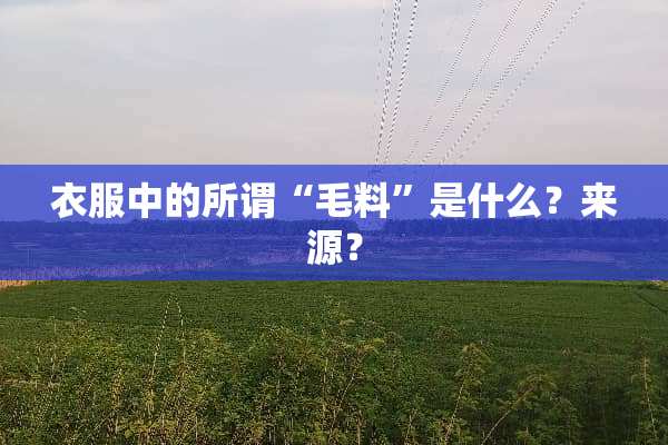 衣服中的所谓“毛料”是什么？来源？