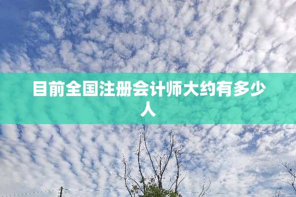 目前全国注册会计师大约有多少人