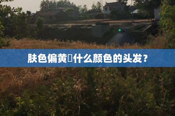 肤色偏黄焗什么颜色的头发？
