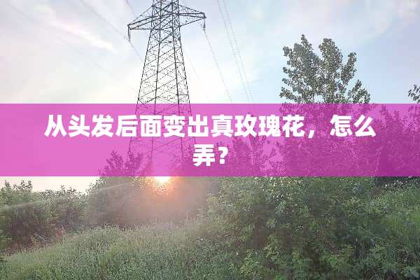 从头发后面变出真玫瑰花，怎么弄？