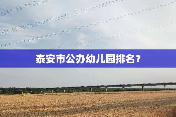 **市公办幼儿园排名？