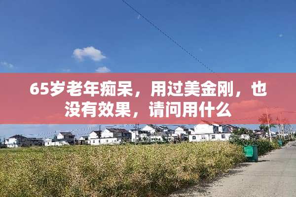 65岁老年痴呆，用过美金刚，也没有效果，请问用什么