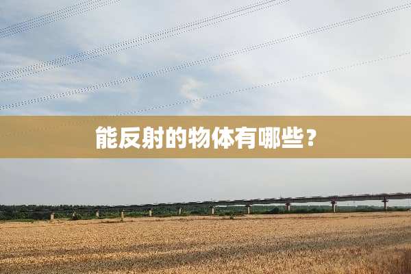 能反射的物体有哪些？