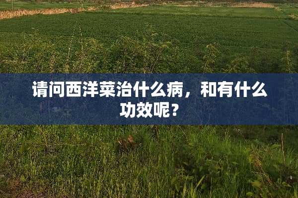 请问西洋菜治什么病，和有什么功效呢？