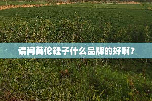 请问英伦鞋子什么品牌的好啊？