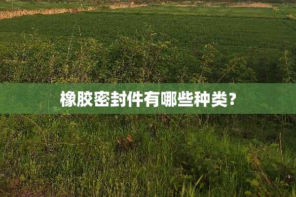 橡胶密封件有哪些种类？