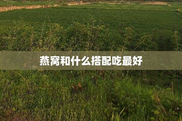 燕窝和什么搭配吃最好