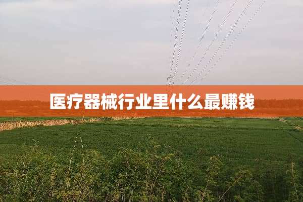 医疗器械行业里什么最赚钱