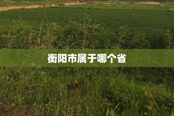 衡阳市属于哪个省