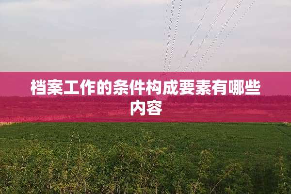 档案工作的条件构成要素有哪些内容