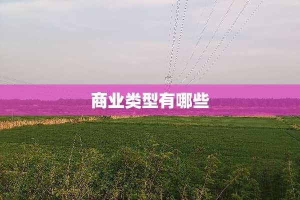 商业类型有哪些