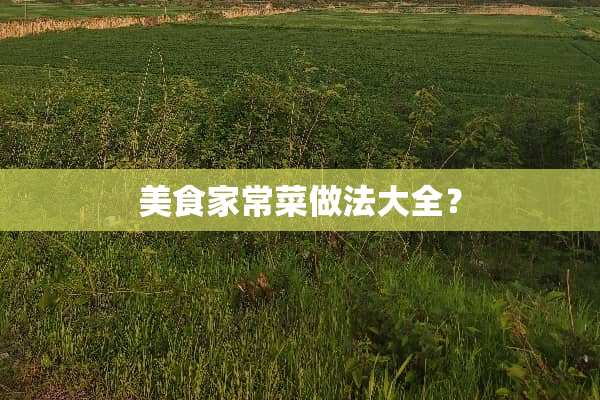 美食家常菜做法大全？