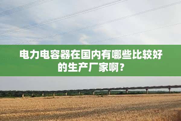 电力电容器在国内有哪些比较好的生产厂家啊？